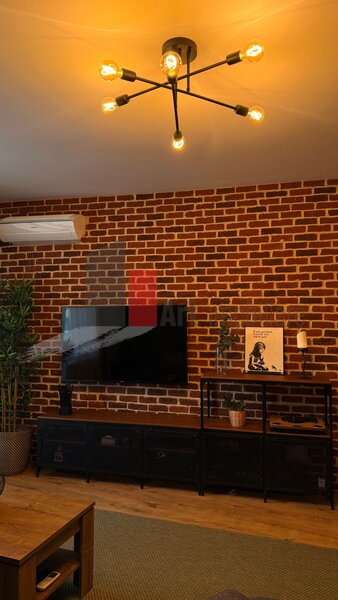 Parcul Carol, Viilor, apartament cu 2 camere de inchiriat cu centrala.